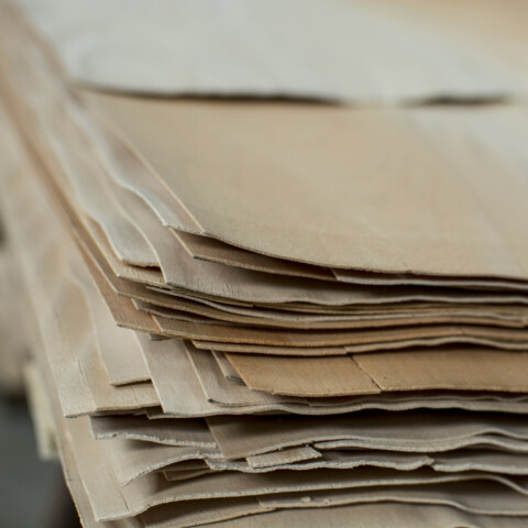 Feuilles de placage, hêtre déroulé