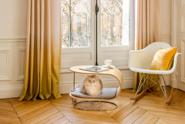 mobilier pour chat et chien