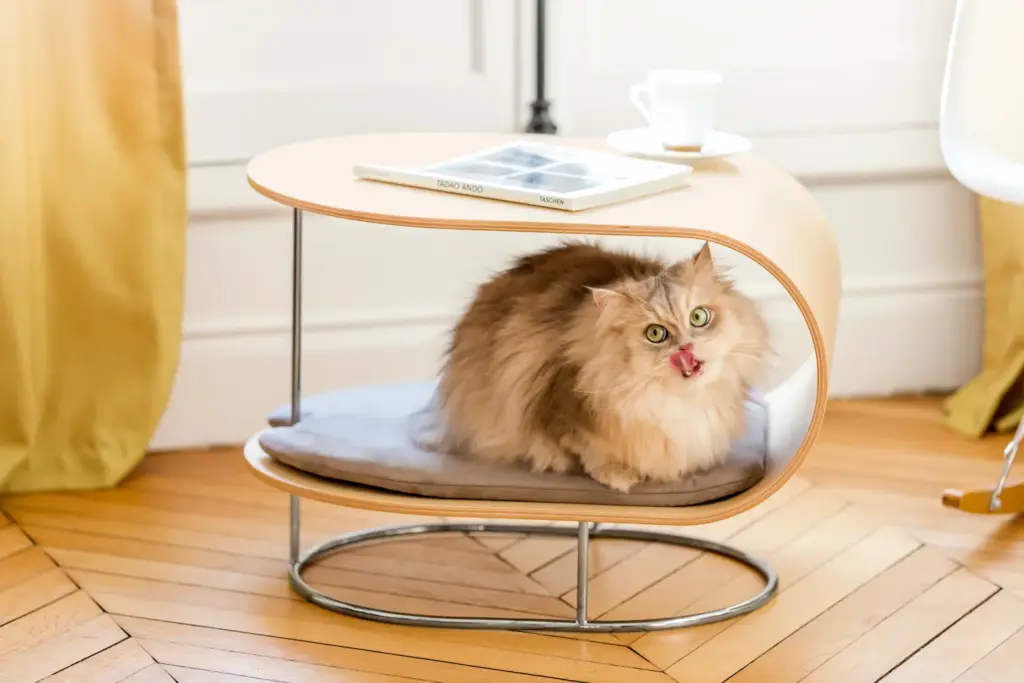 table combiné pour animaux de compagnie