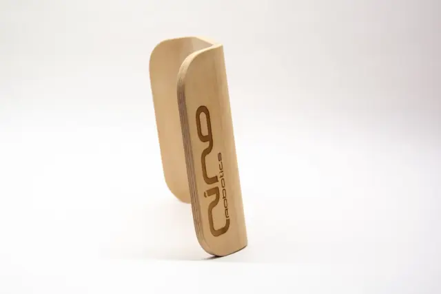 Dossier en contreplaqué moulé pour chaise roulante