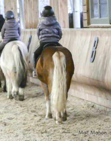 manège de chevaux, pare bottes
