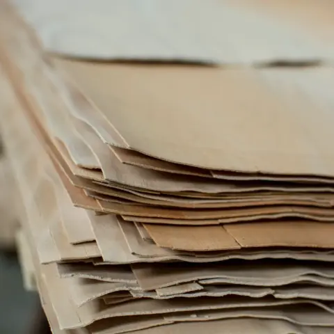 feuilles de placage en hêtre déroulé