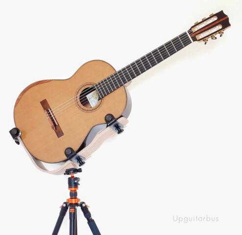 Support de guitare en contreplaqué moulé hêtre
